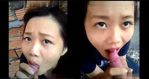 Con ghệ mút chim ở vườn sau nhà