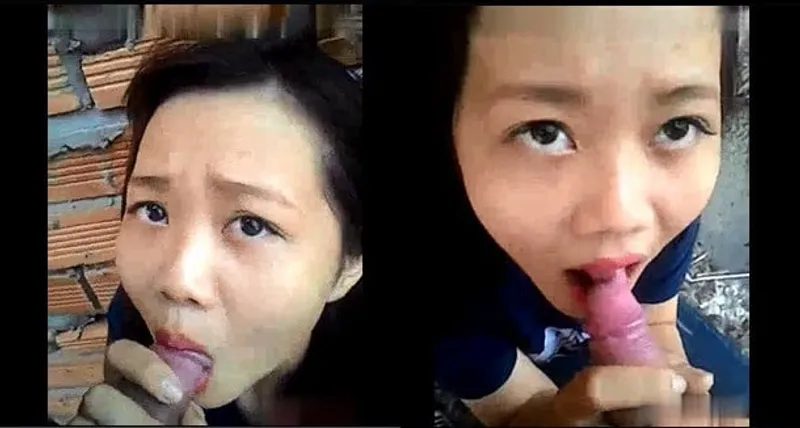 Con ghệ mút chim ở vườn sau nhà